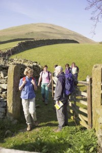 solo walking_427x640