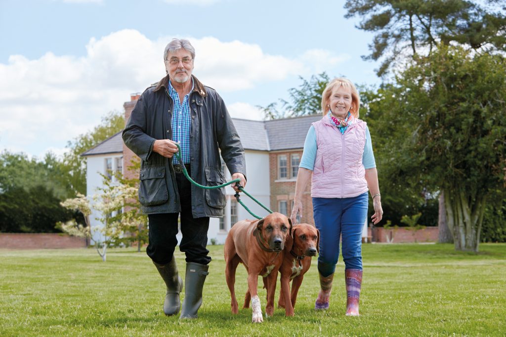 The clarks - homesitters