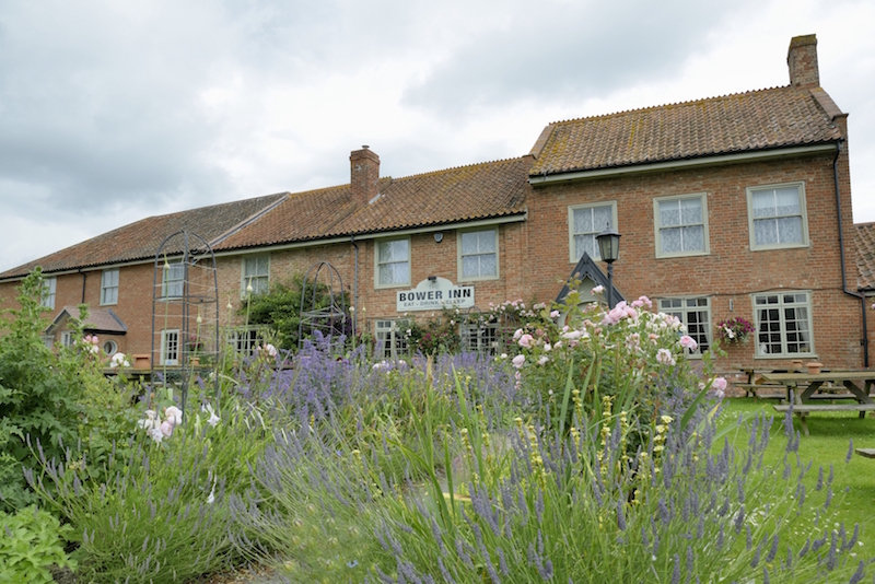 Walk in Wordsworth’s footsteps – among the bluebells