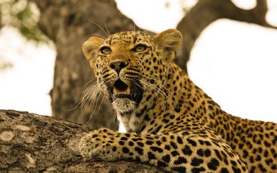 How downsizing can help you realise your dreams