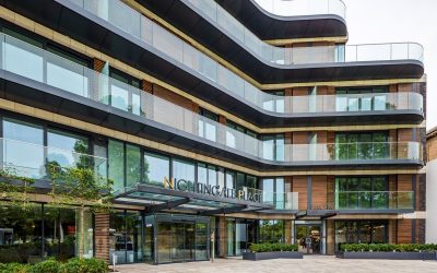 Designing a sanctuary in the city