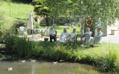 Wild Orchids discovered at Woodchester Valley Village